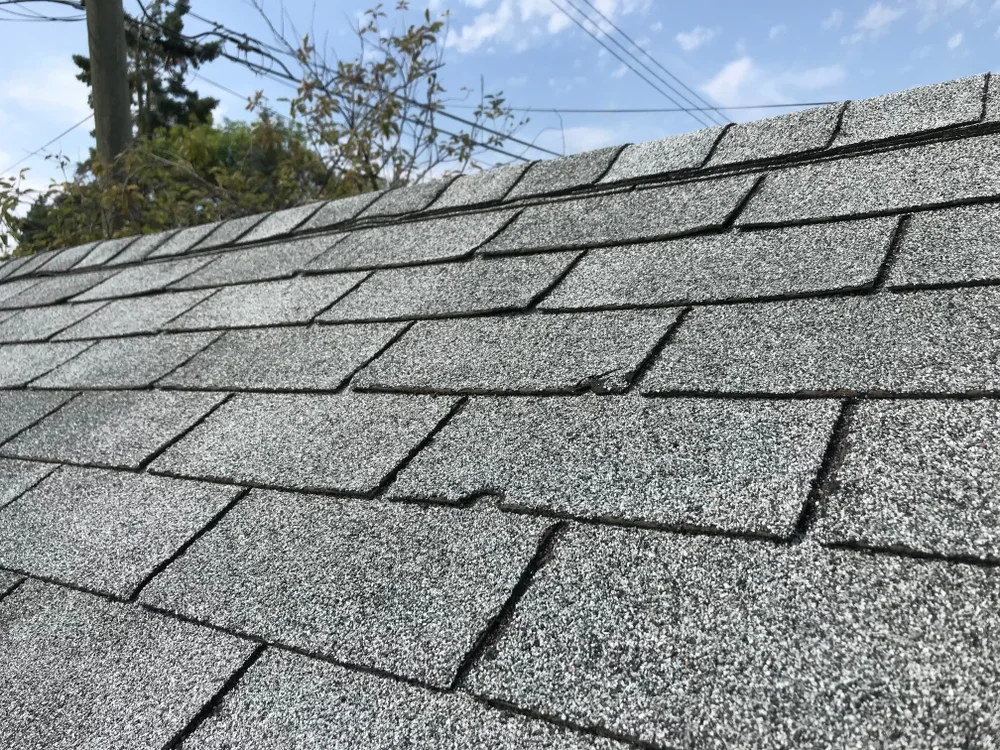 3 common summer roofing issues
