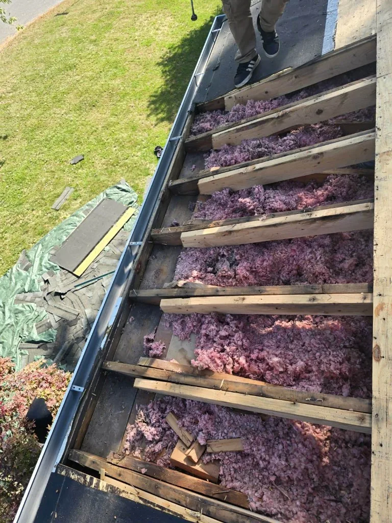 Exposed roof rafters and wet insulation after storm damage during an emergency roof repair in Doylestown, PA