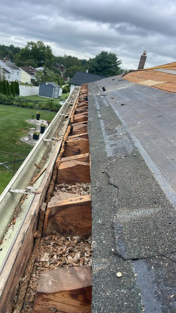 Rotten fascia and roof edge opened during an emergency eave repair in Doylestown, PA